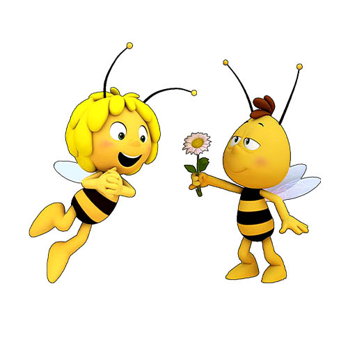 Arı Maya & Arı Willy 